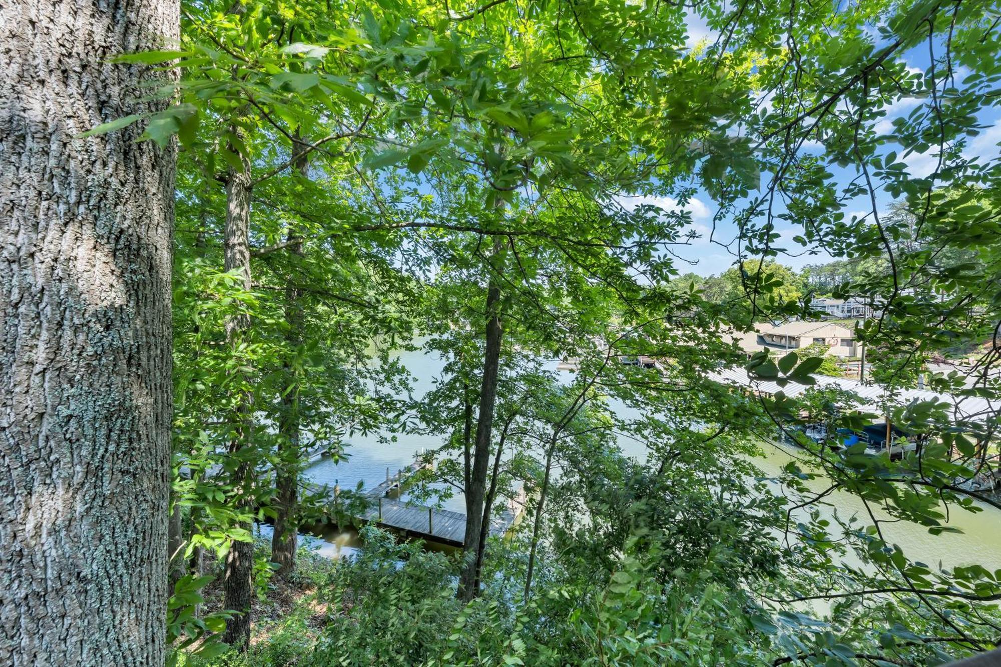Halesford Harbour Resort - Smith Mountain Lake Moneta Kültér fotó